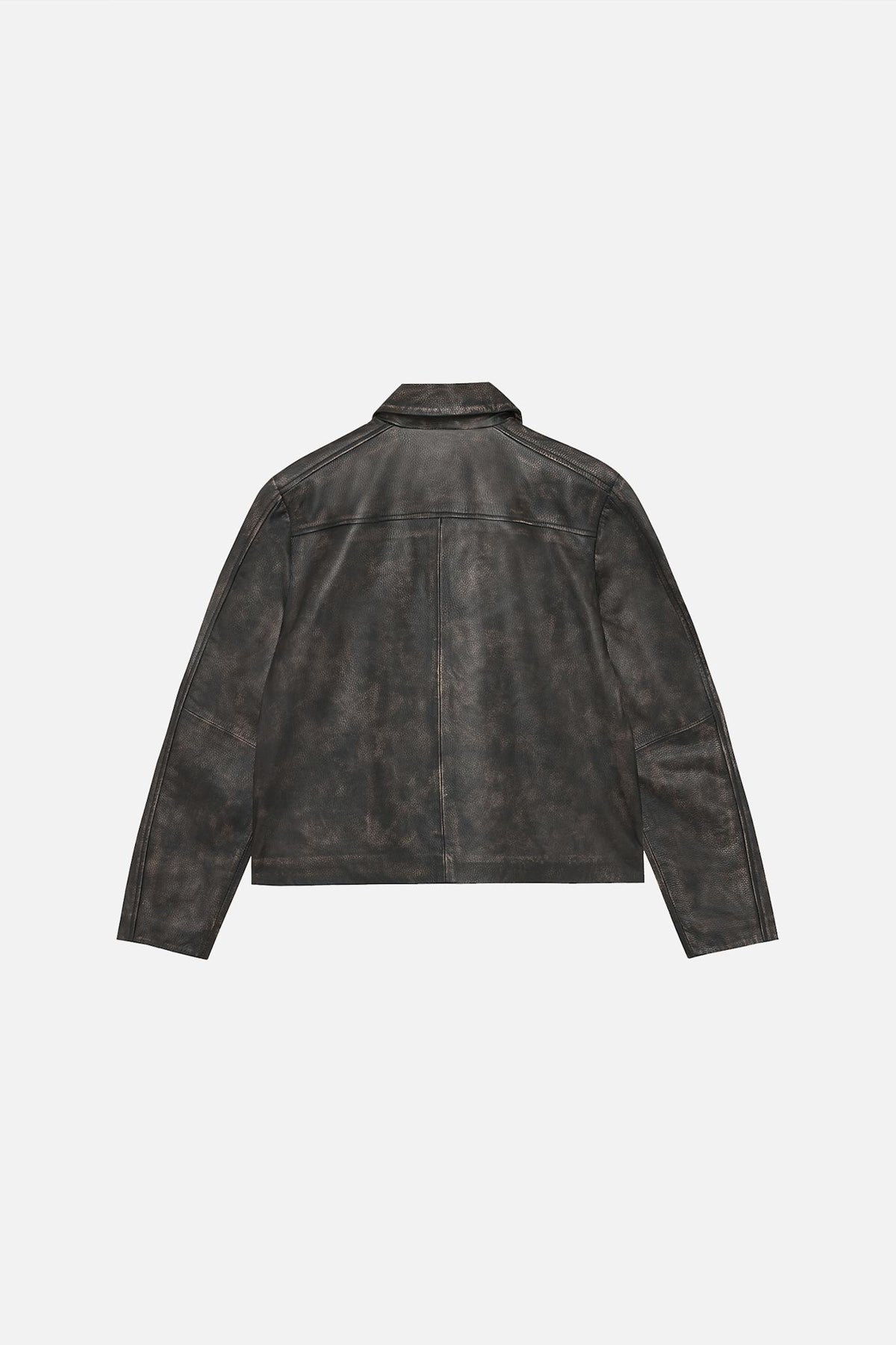 Denzel Leather Jacket - Won Hundred Online Store