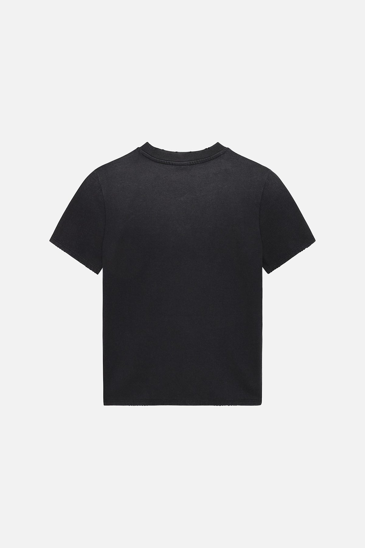 Vera Cat T-Shirt - Won Hundred Online Store