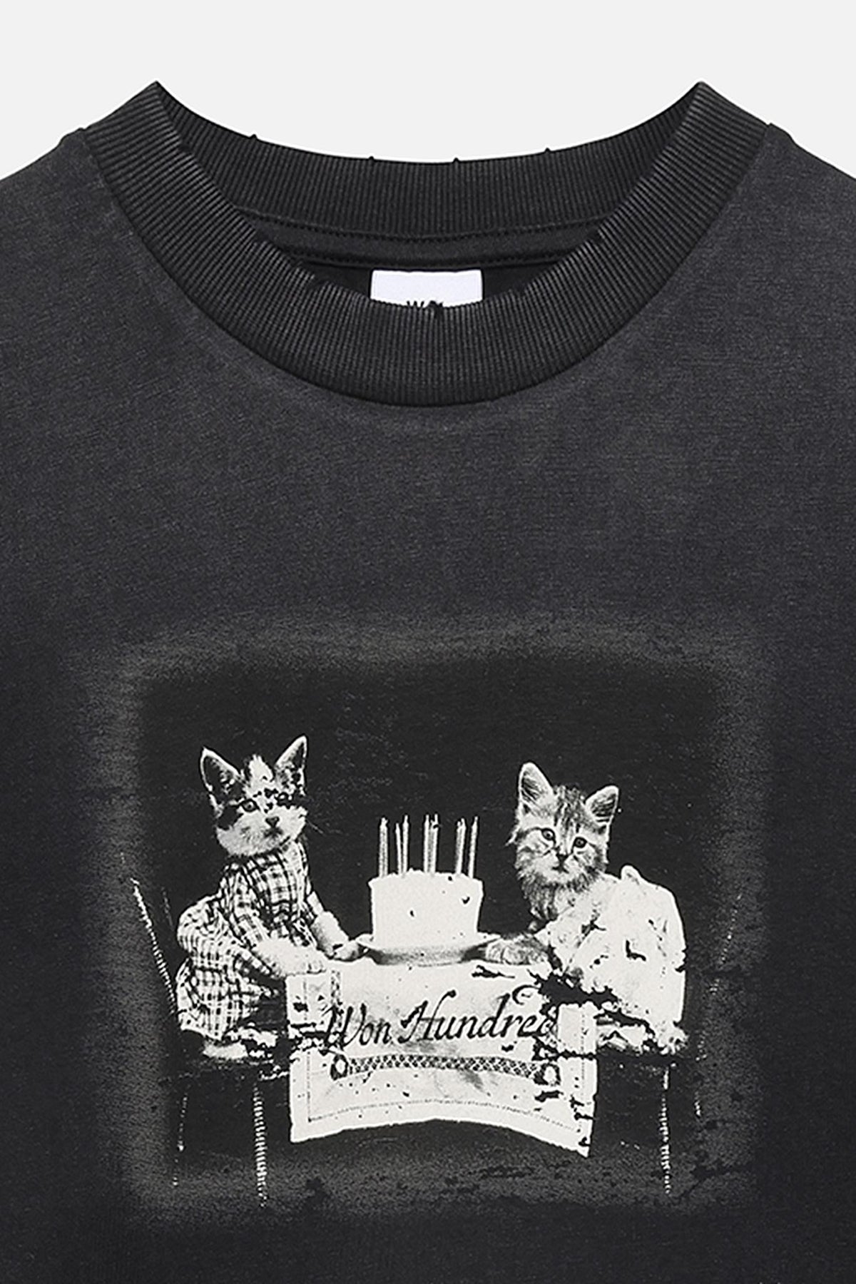 Vera Cat T-Shirt - Won Hundred Online Store