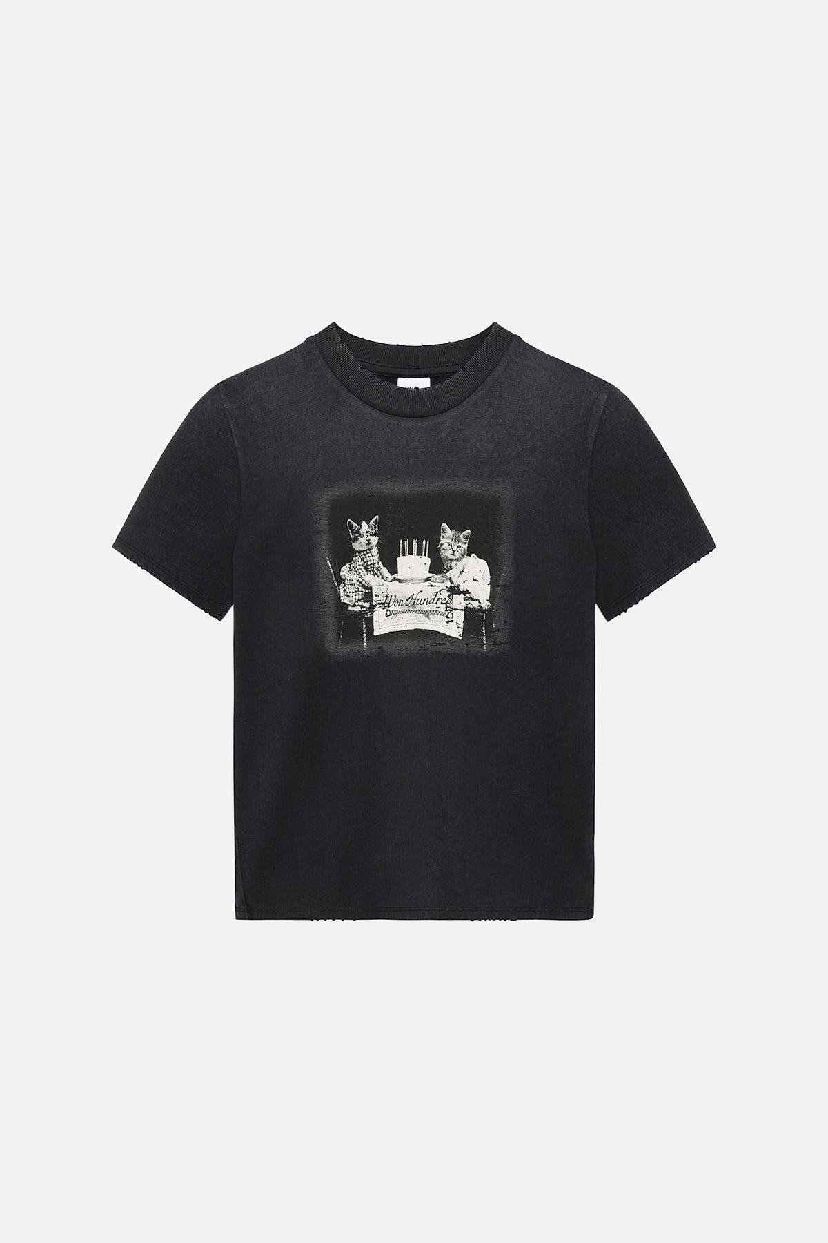 Vera Cat T-Shirt - Won Hundred Online Store