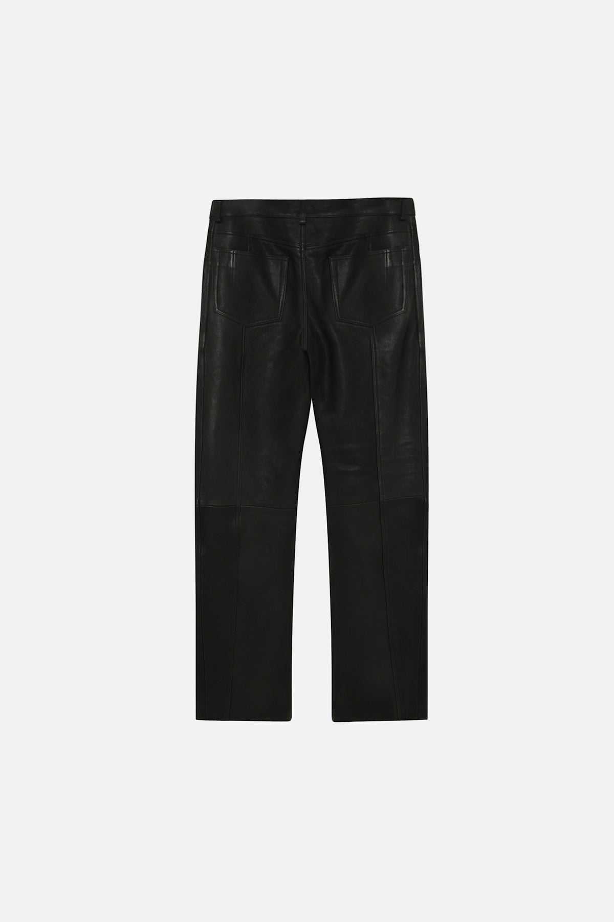 Bree Leather Pants - Won Hundred Online Store