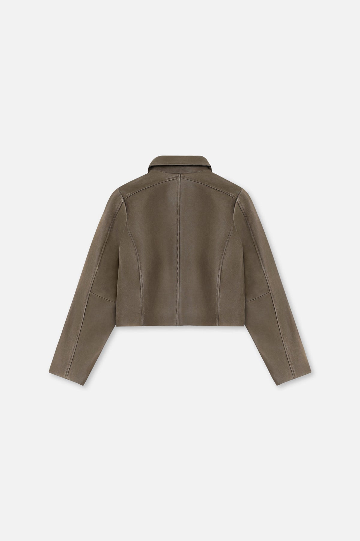 Dalia Panel Leather Jacket - Won Hundred Online Store